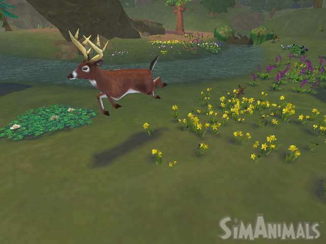 Sims Animals